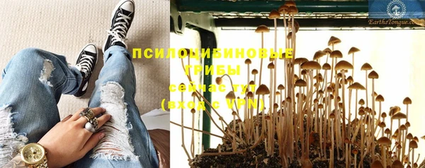 прущая мука Надым