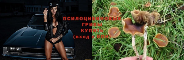 прущая мука Надым